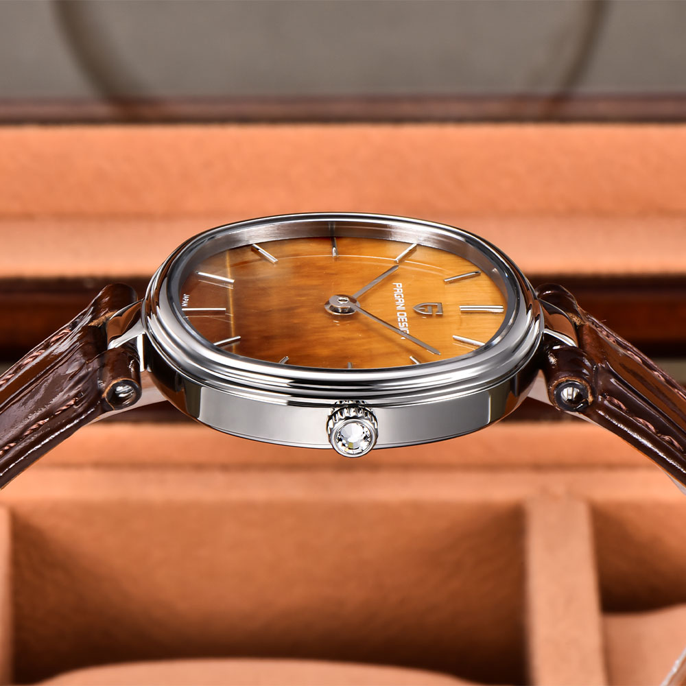 PAGANI DESIGN 2026 Novo Relógi - Anti-Magnetic Watch avaliação e preço
